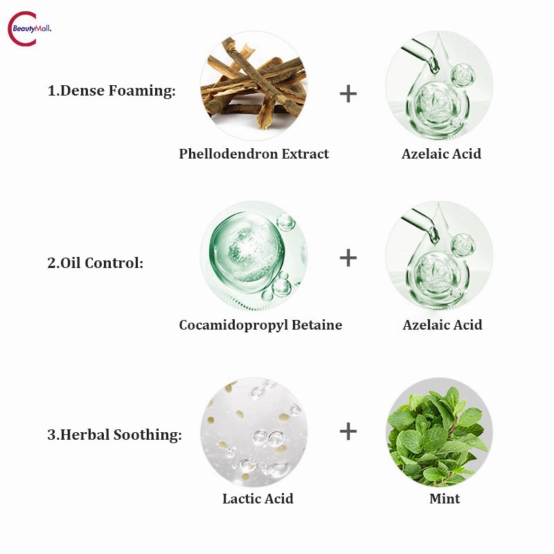 Bedook Oil-Control Cleansing Foam