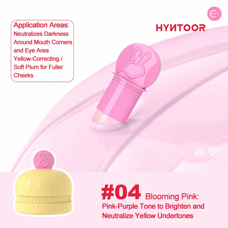 HYNTOOR Macaron Blush & Brightening Concealer
