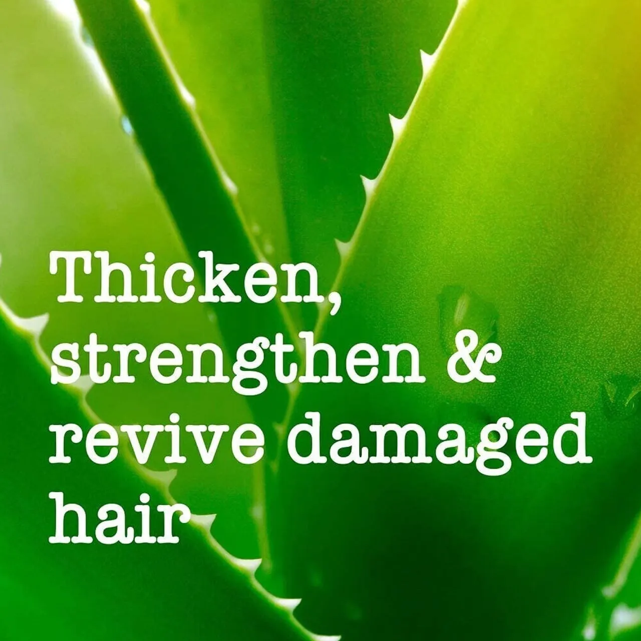 Maui Moisture Shampoo Volume Boost Bamboo Fibers & Aloe Vera 385ml