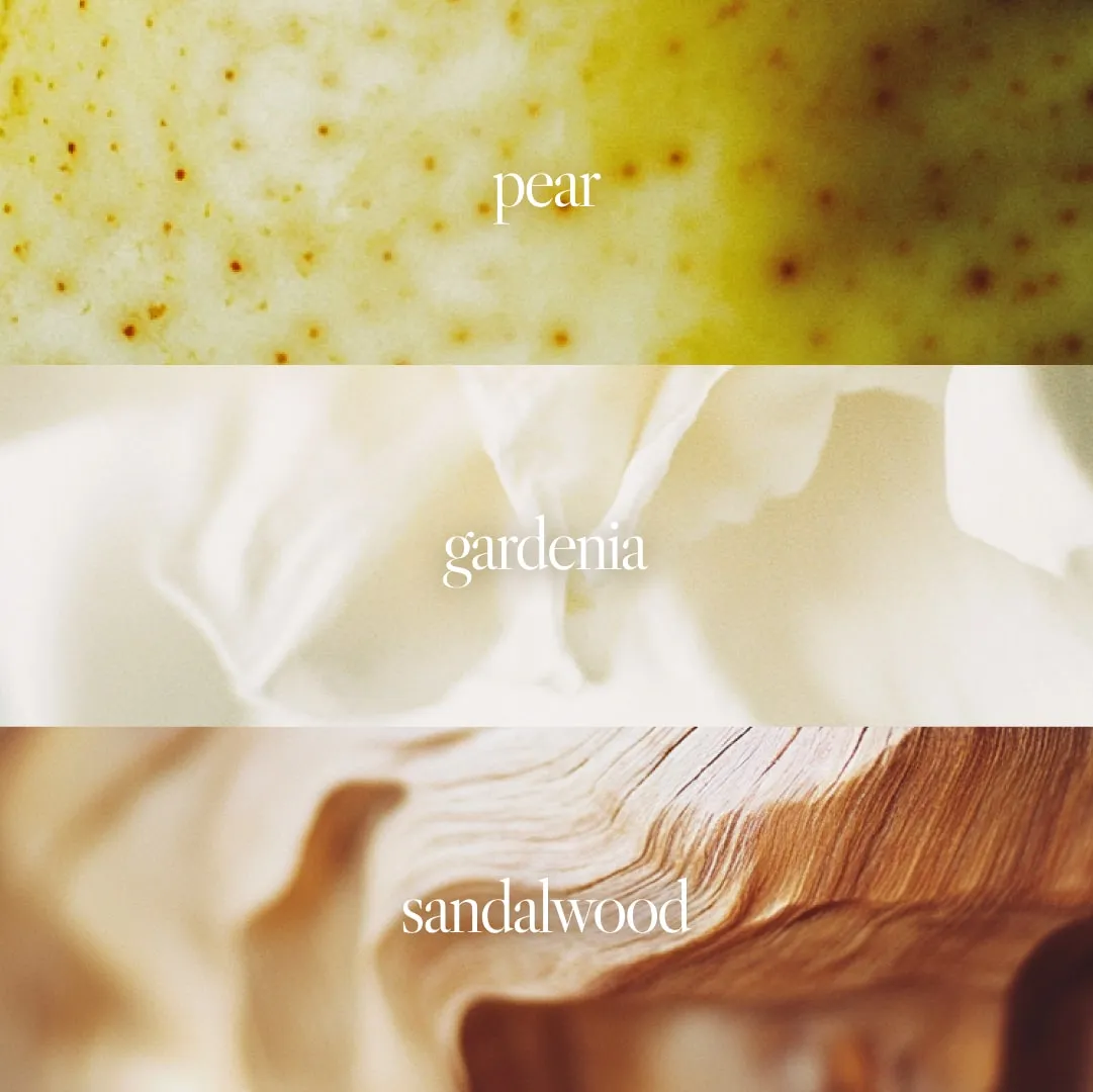 Noteworthy n,008 Eau De Parfum | Say Yes | Pear Gardenia Sandalwood Fragrance