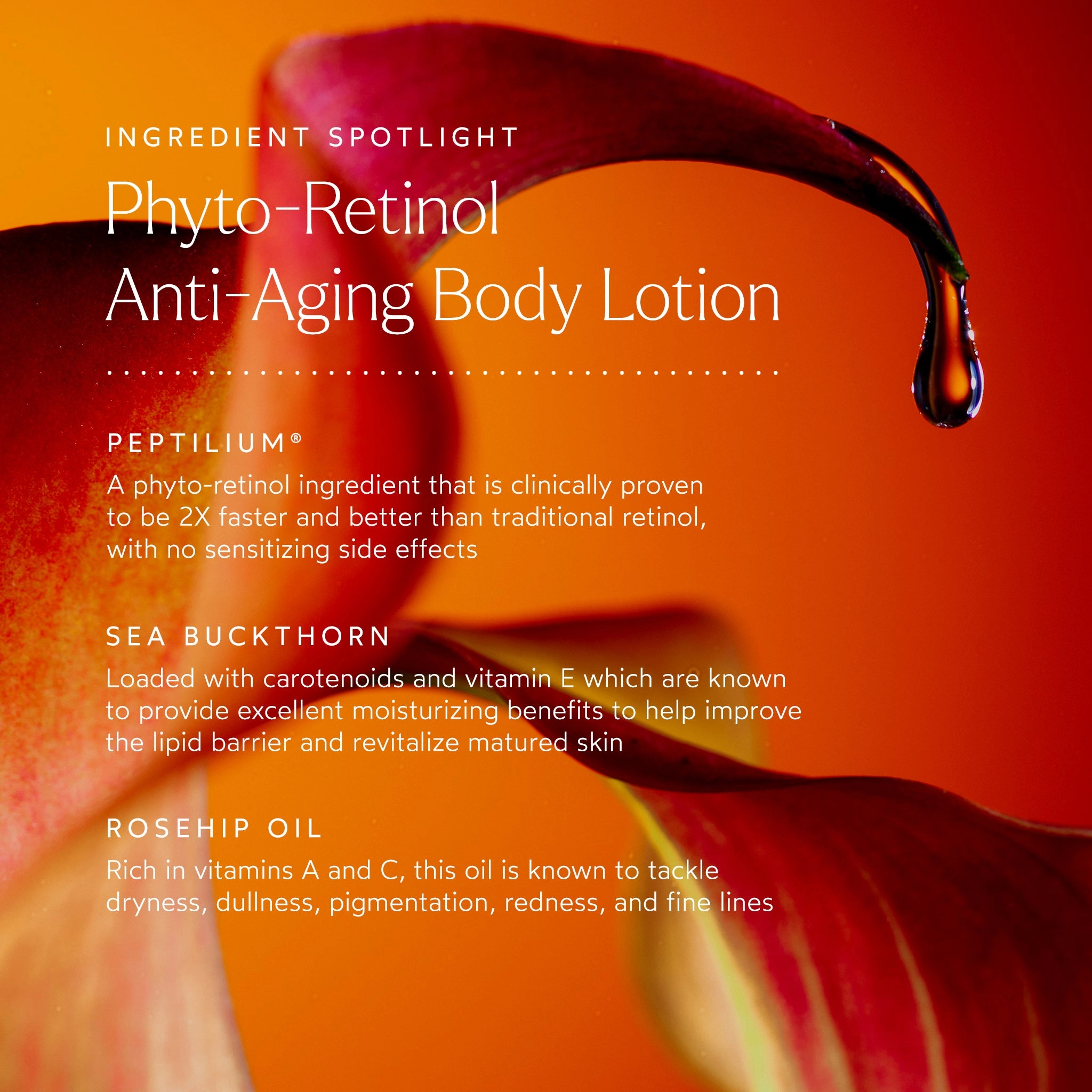 Phyto-Retinol Anti-Aging Body Lotion