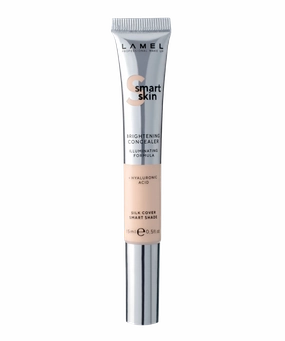 Smart Skin Brightening Concealer