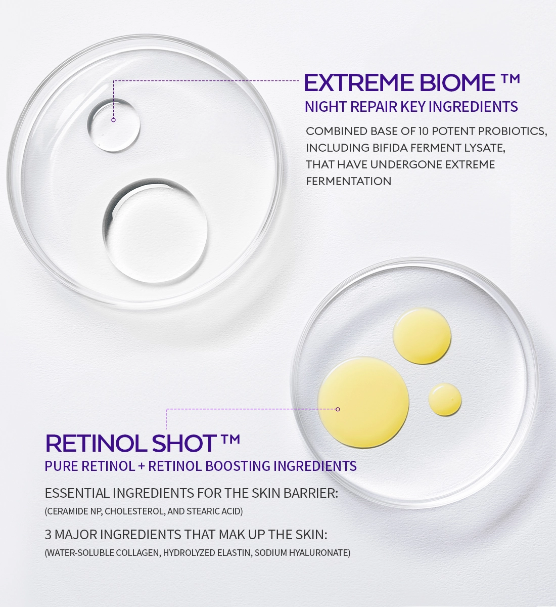 Time Revolution Anti-Aging K-Beauty Skincare Routine Kit